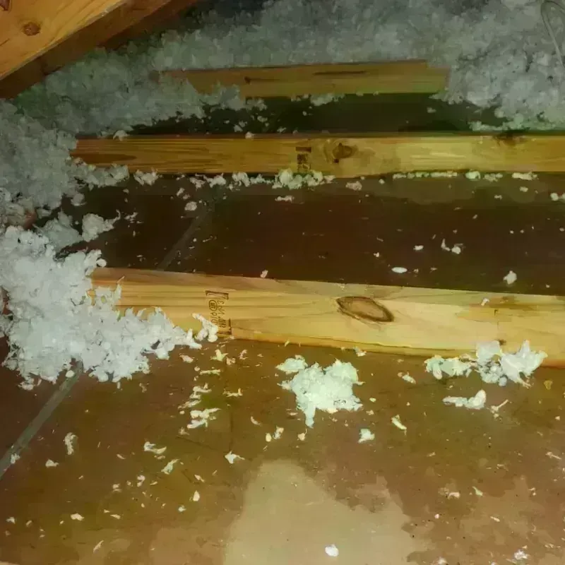 Attic Water Damage in East Farmingdale, NY